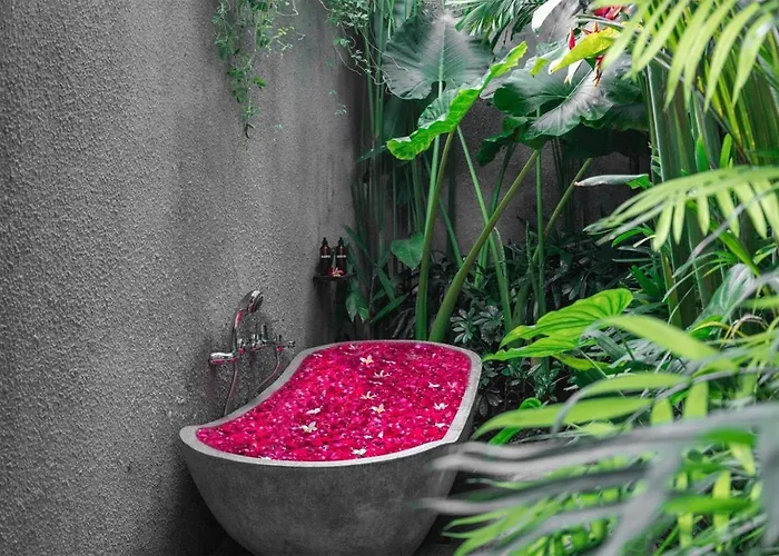 Bajalo - Adults Only 4* Canggu