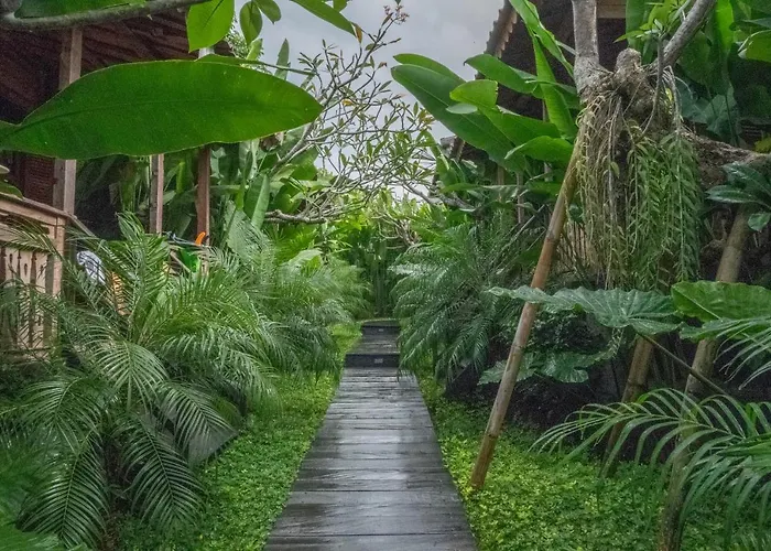 Bajalo - Adults Only Canggu