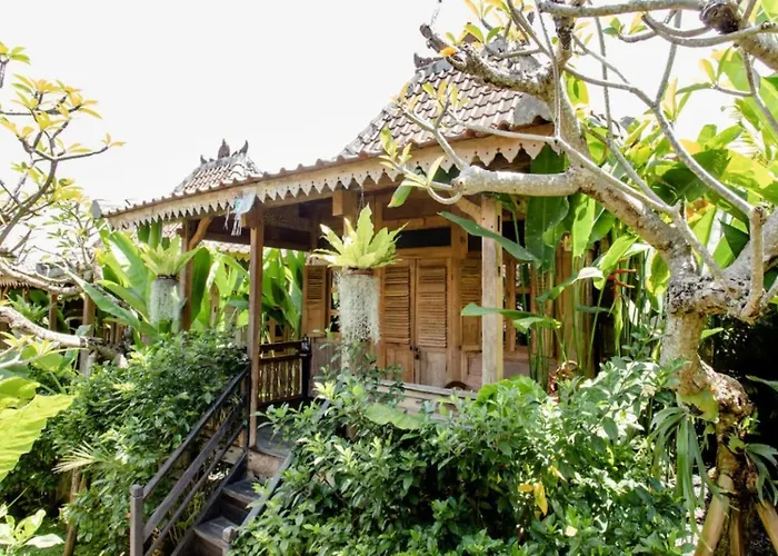 Bajalo - Adults Only 4* Canggu